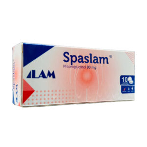 SPASLAM